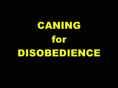 Caning for disobedience / Порка за непослушание (Валентин Николаев, Любительское видео) [2001 г., BDSM (caning), CamRip]