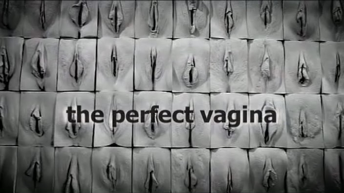 The Perfect Vagina / Идеальная вагина