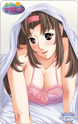 Housekeeper of My House / Bokunchi no Kaseifusan / Домработницы Моего Дома