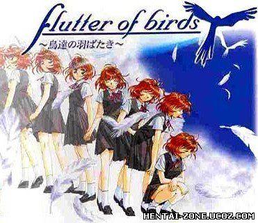 Flutter of Birds / Virgin Touch / Касание девственницы